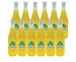 Jarritos Soft Drink Pineapple